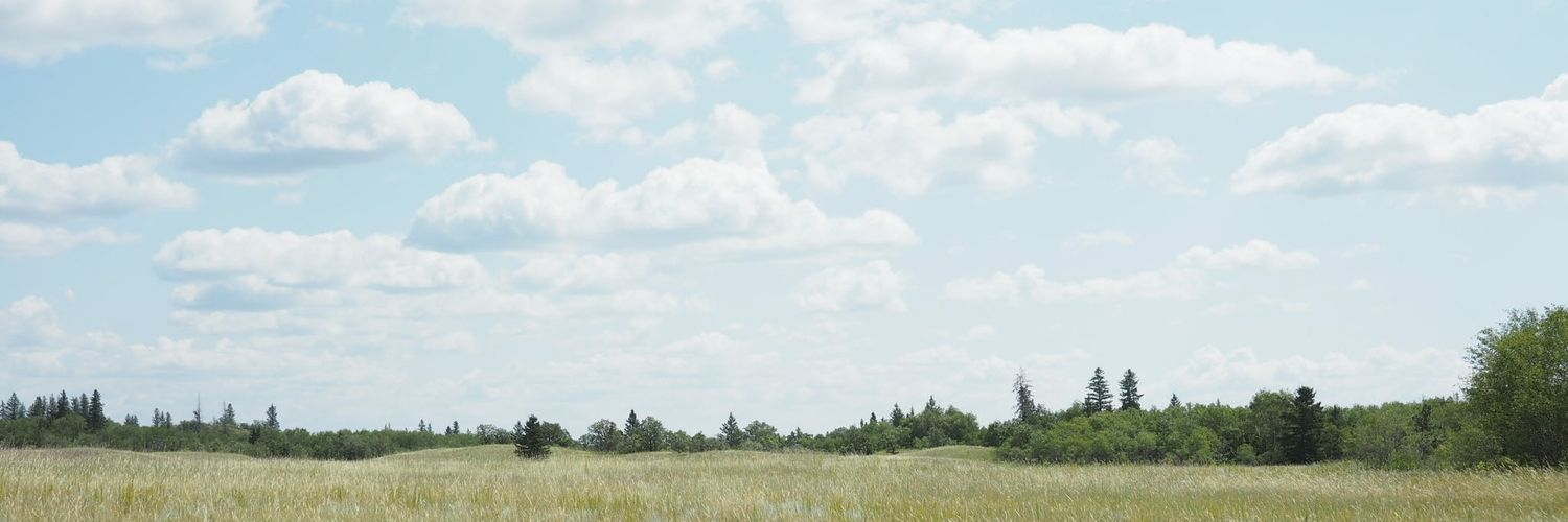 rwiiebe's profile banner image