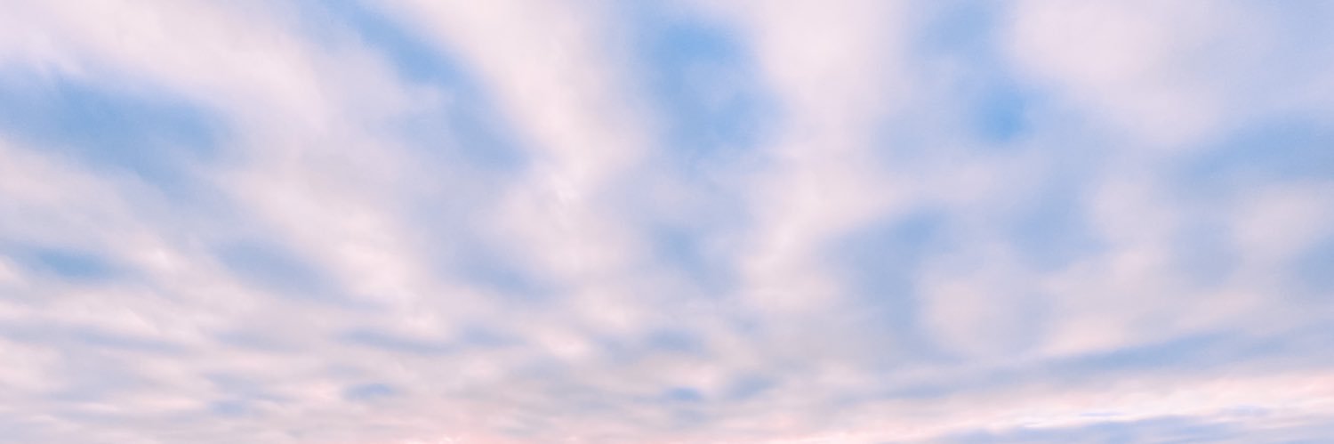 mimiiannini's profile banner image