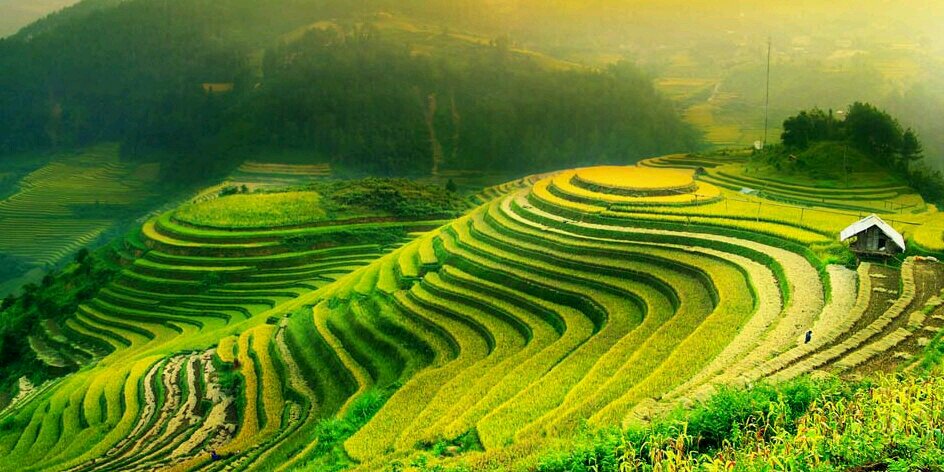 wan9dharmawan's profile banner image