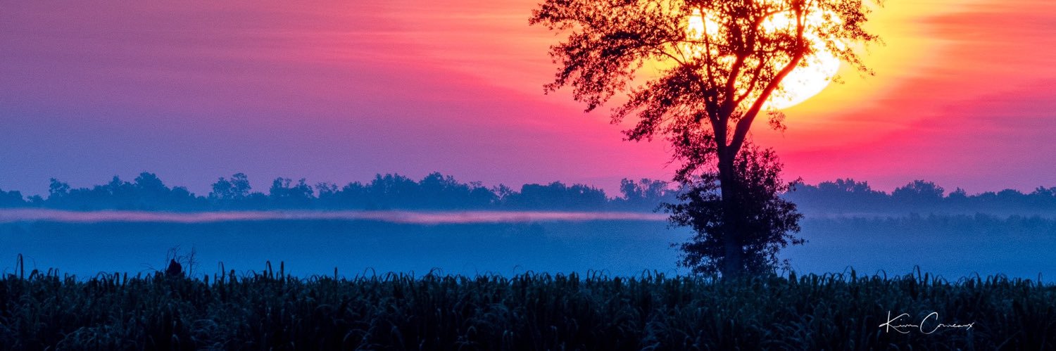perriair_'s profile banner image