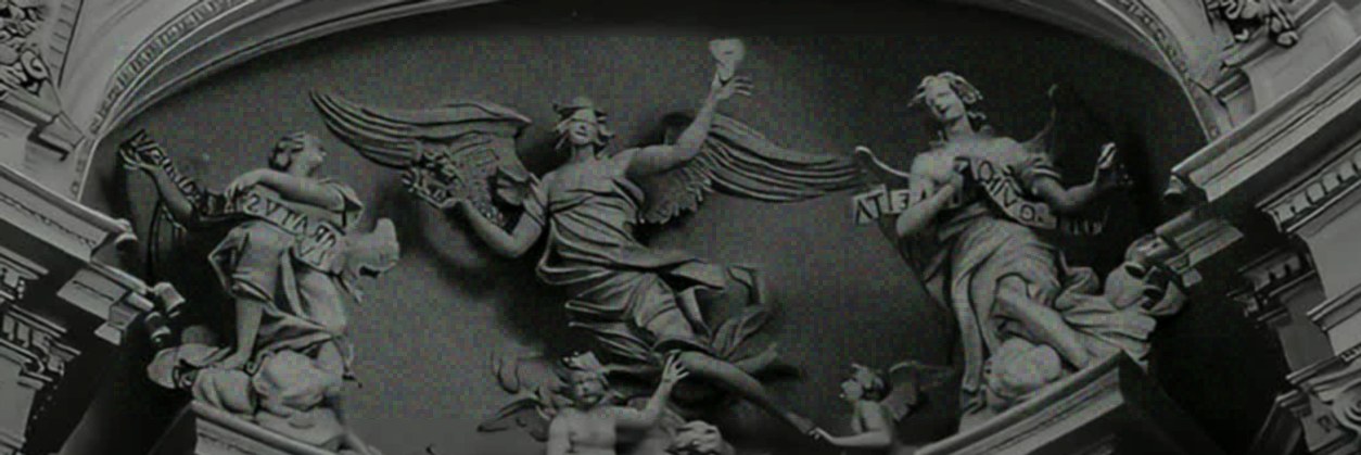 Roseep00h's profile banner image