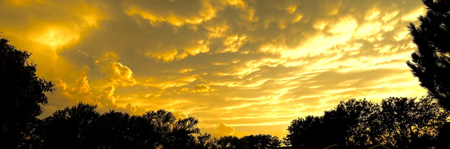 Scott Gregory ✏️ banner