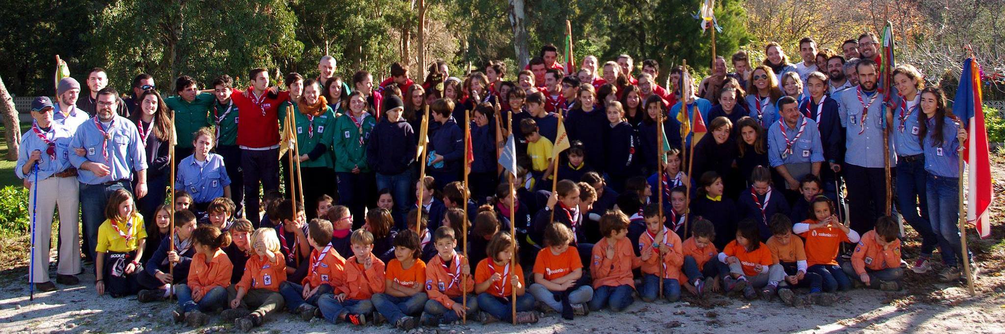 scoutsek's profile banner image