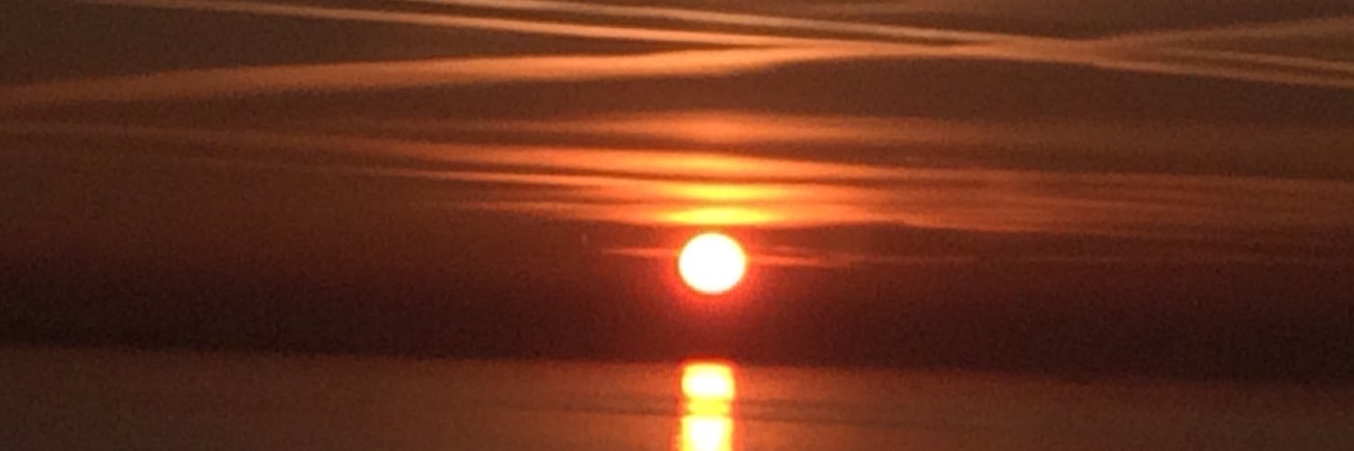 FVerhenne's profile banner image
