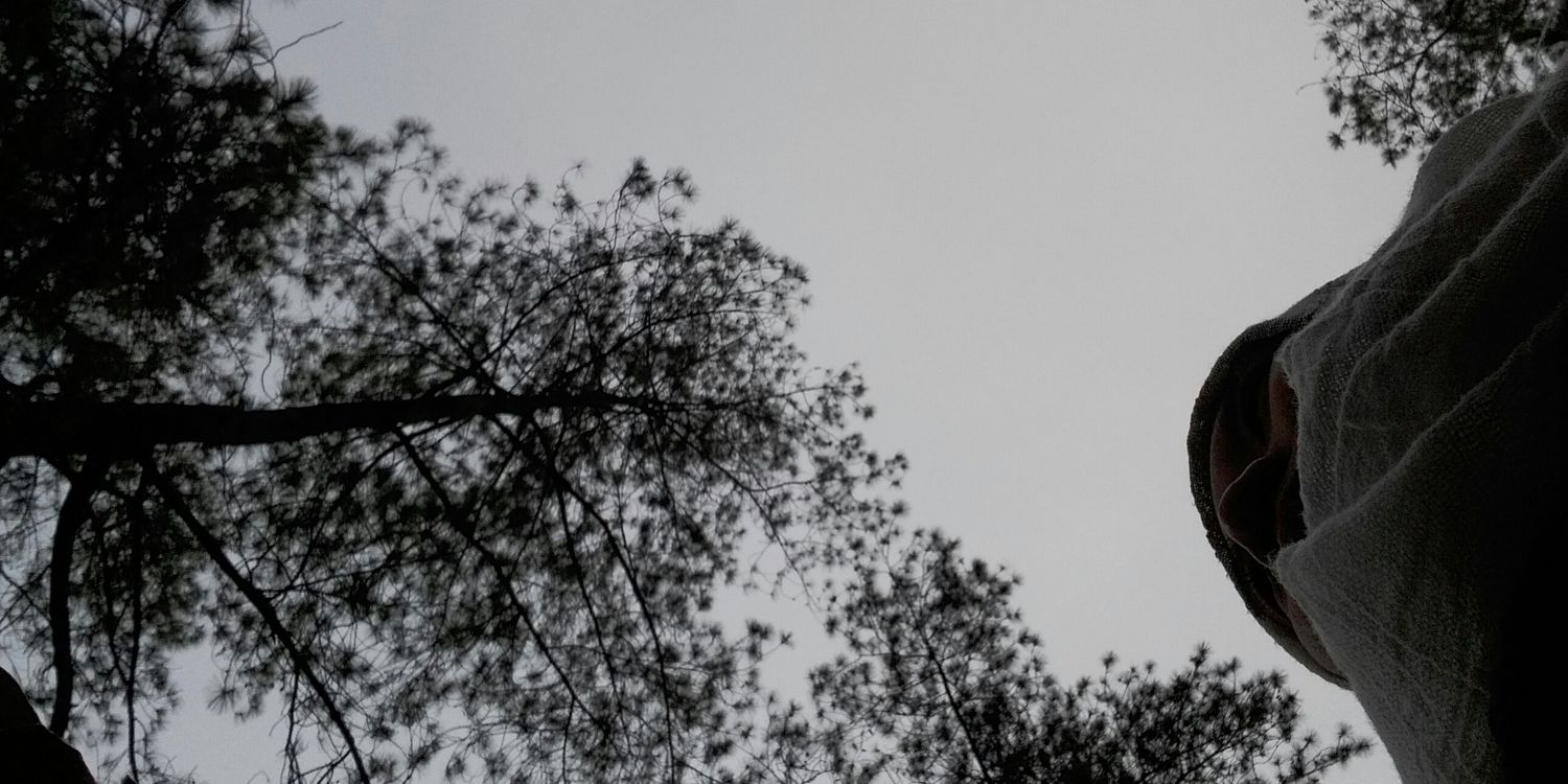 S_Windaa's profile banner image