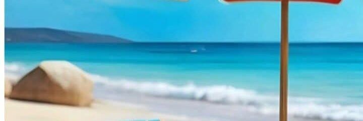 Leia Bous banner