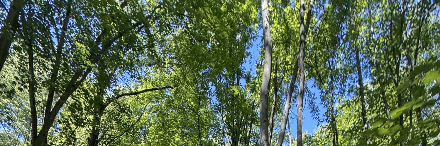 Danythrj's profile banner image