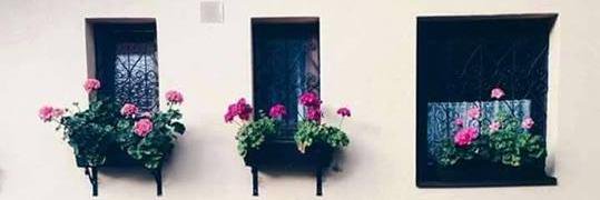 DINA banner