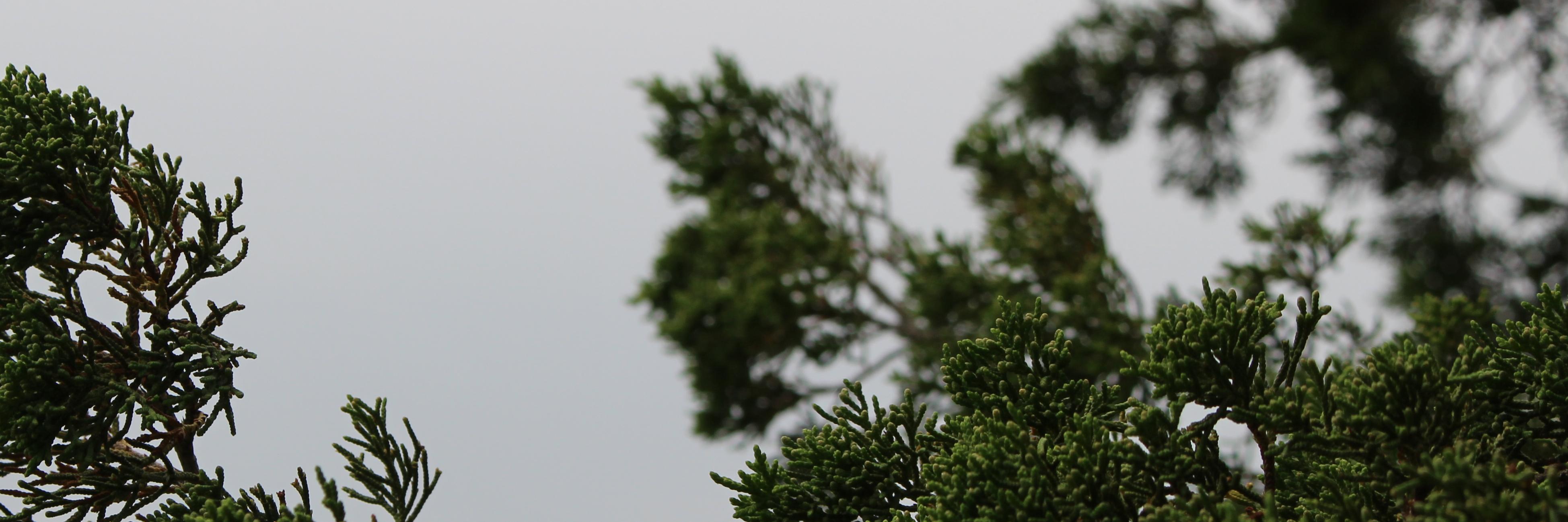 michellewax's profile banner image