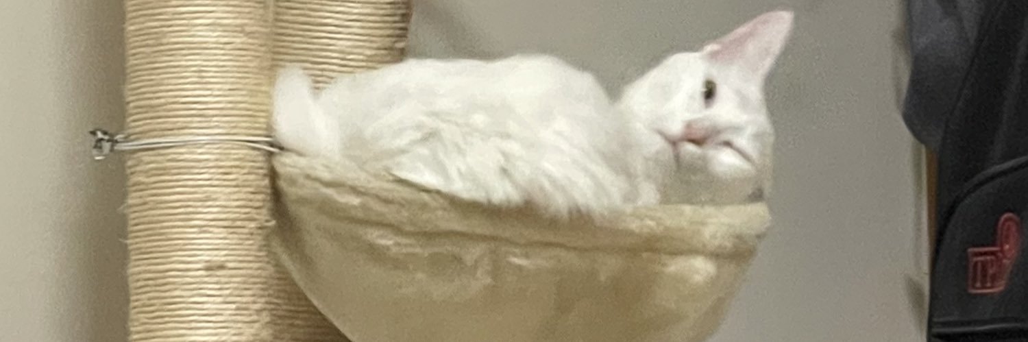 zyzizzle's profile banner image
