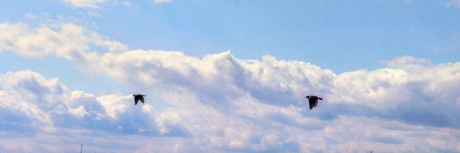chizushi17's profile banner image
