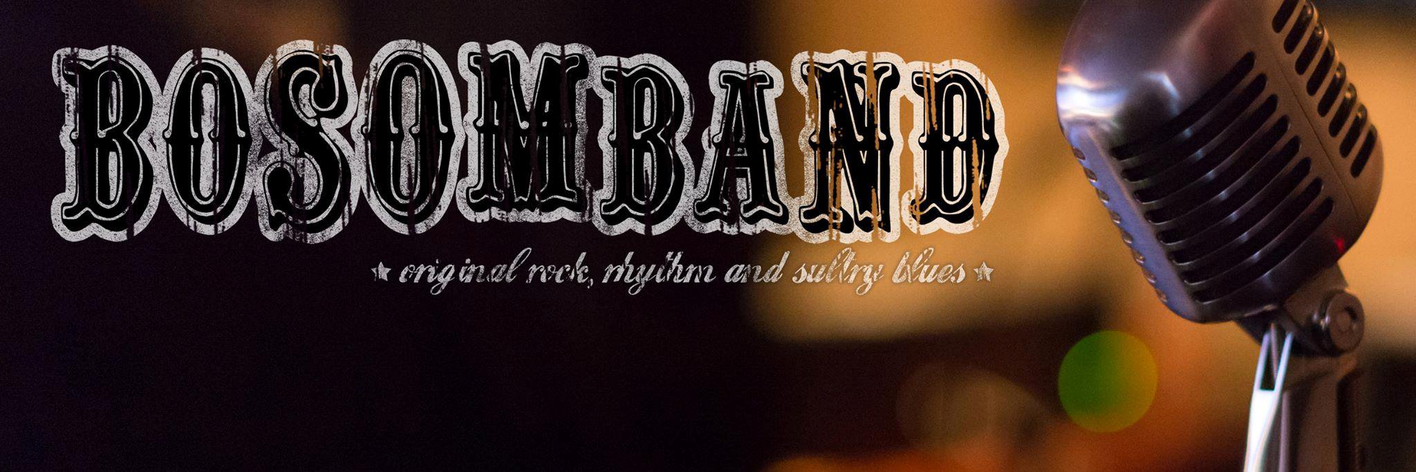 bosomband's profile banner image