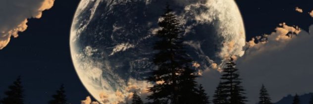 defi_prodigy's profile banner image