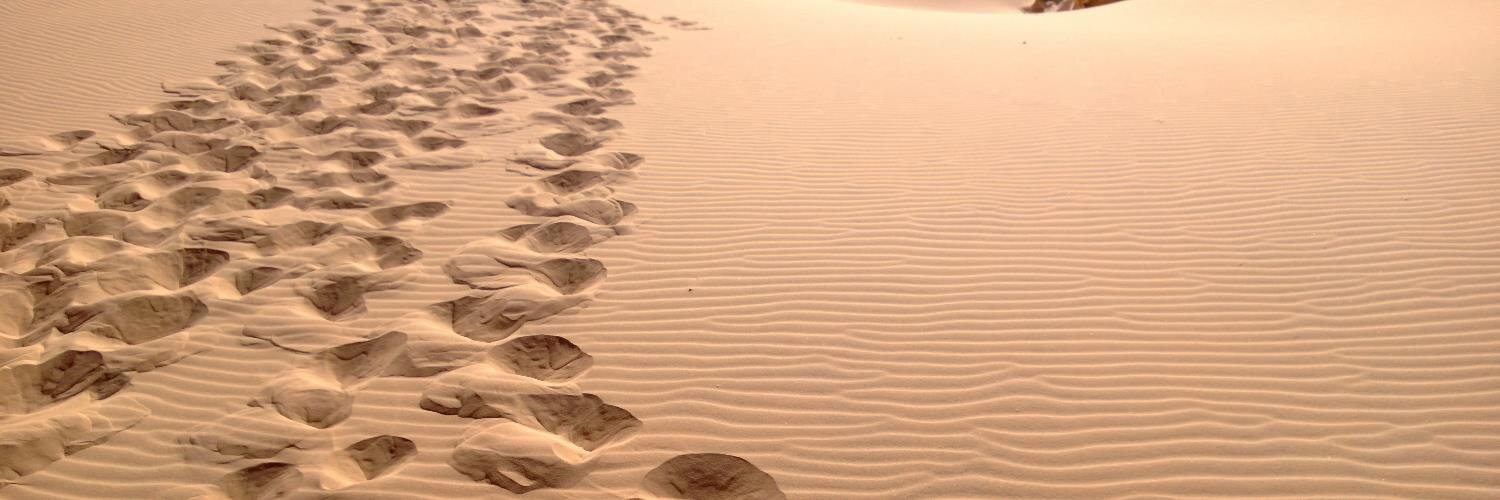 Michaël Hompus banner