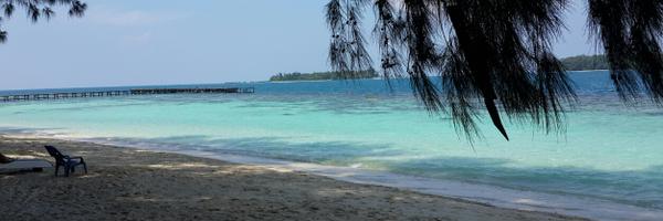 FirdhaWanda Profile Banner