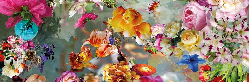 AshThatShxt's profile banner image