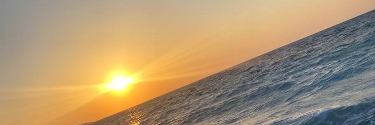 meganscott__'s profile banner image
