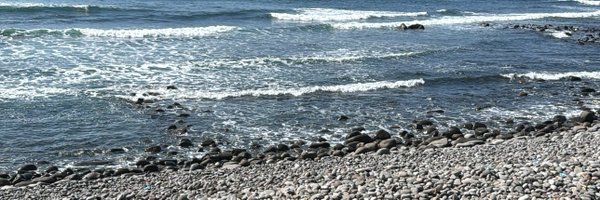 CeSaints Profile Banner