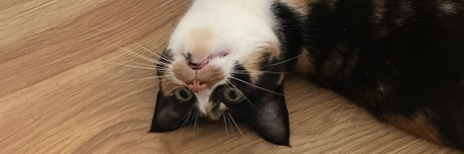 Jugacu_'s profile banner image