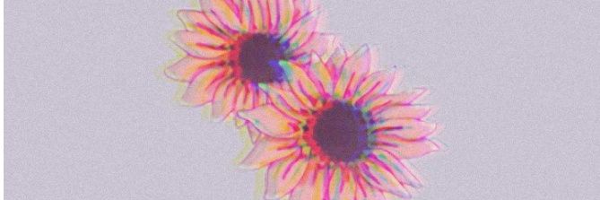Aranda_Aly's profile banner image