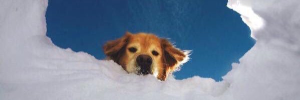 caeleybazany's profile banner image