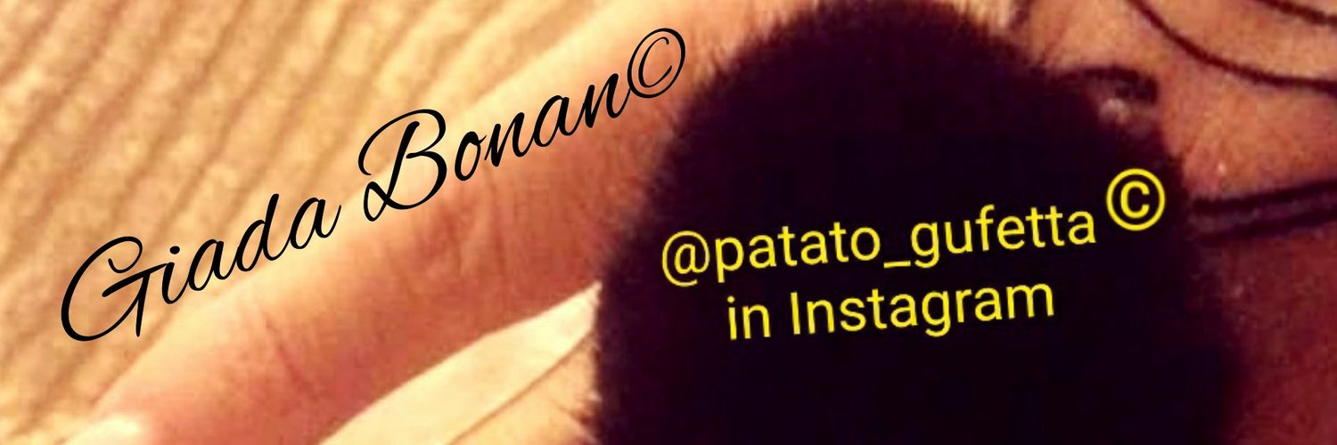 giada_bonan's profile banner image