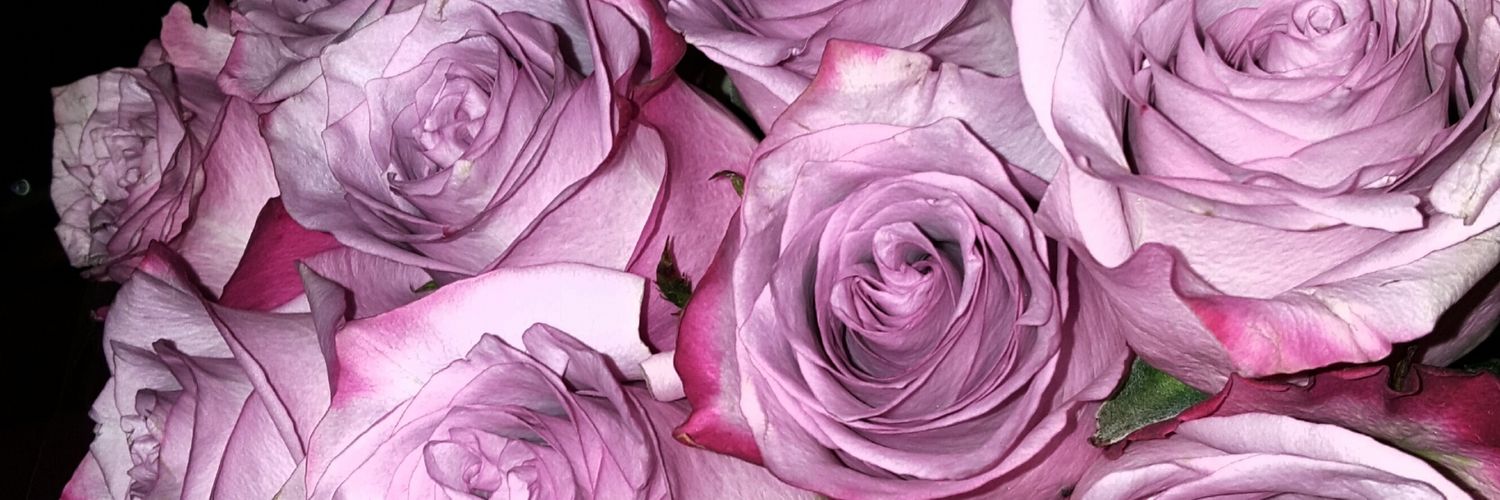 melfields77's profile banner image