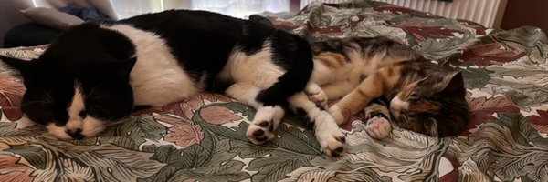 FionaBowler Profile Banner
