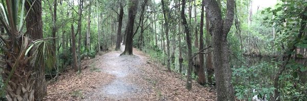 Magoo_F3 Profile Banner