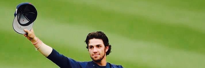 Dyl banner