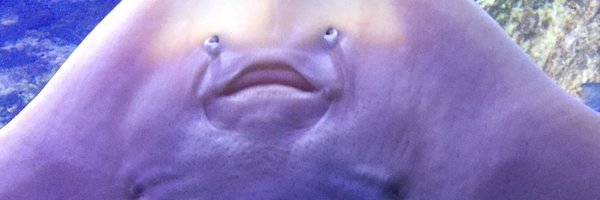 AJYates Profile Banner