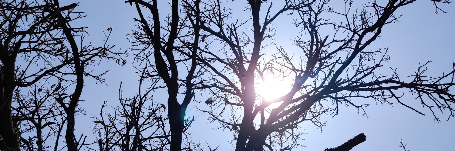 reuday's profile banner image