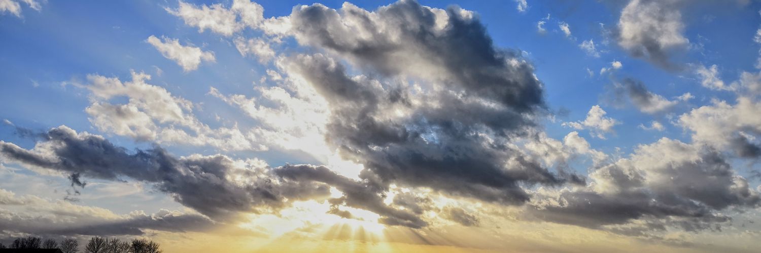 Jeanine_vdB's profile banner image