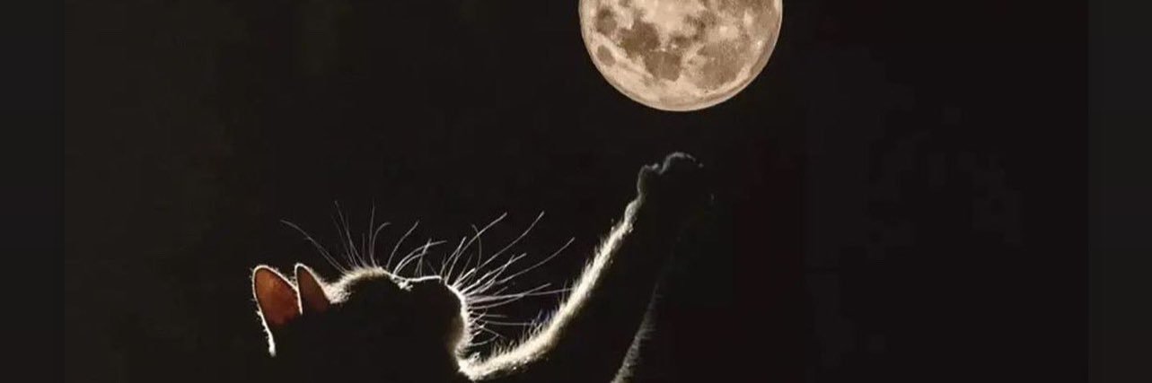 Mile_Silvero's profile banner image
