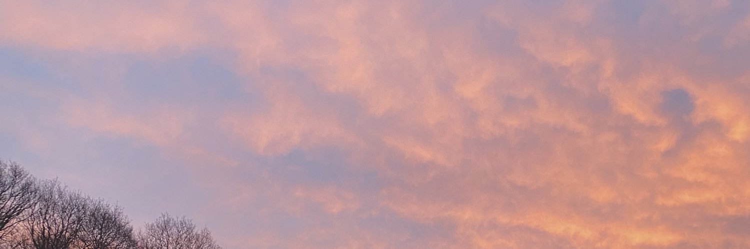 lucyatomlinson's profile banner image