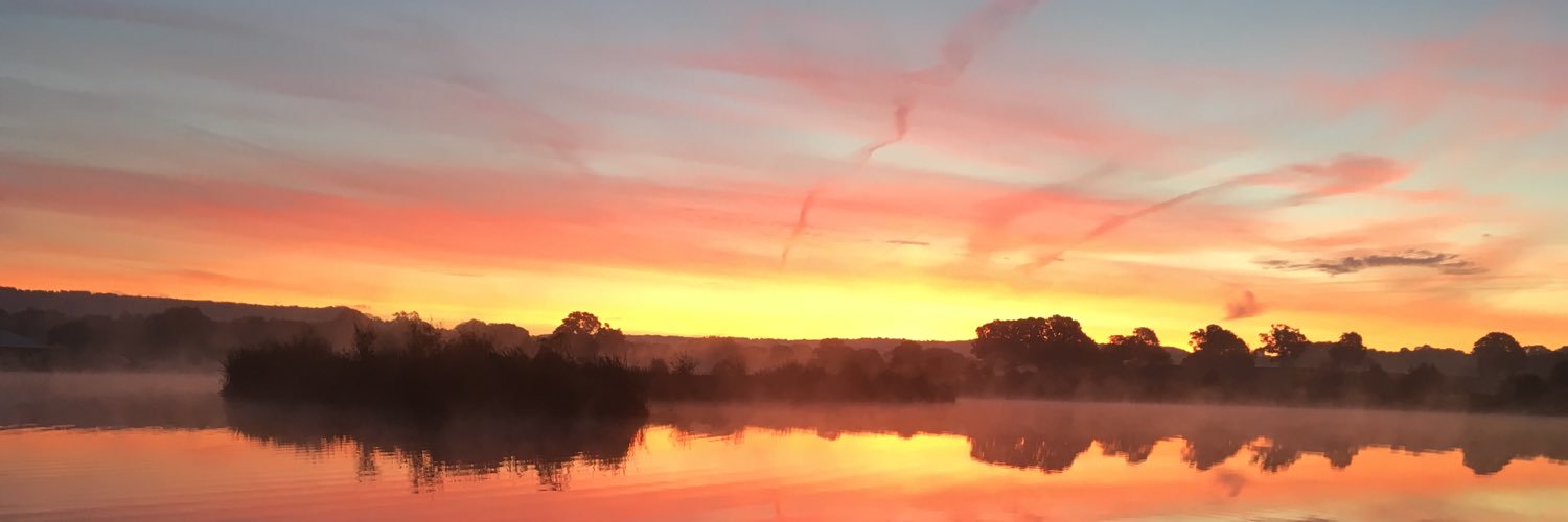 Mattistuta 🦁 banner