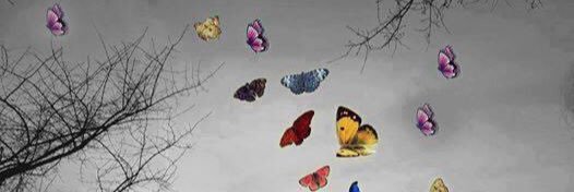MarysePayette's profile banner image