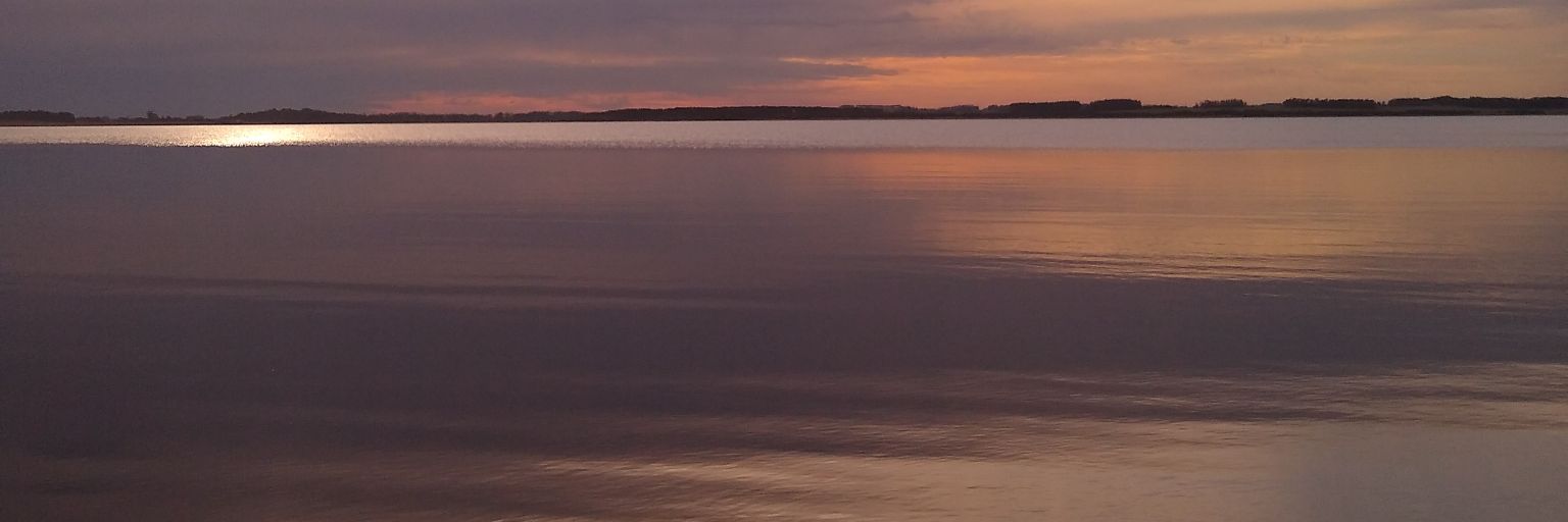 candediez10's profile banner image