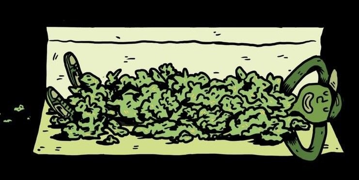 braufaka's profile banner image