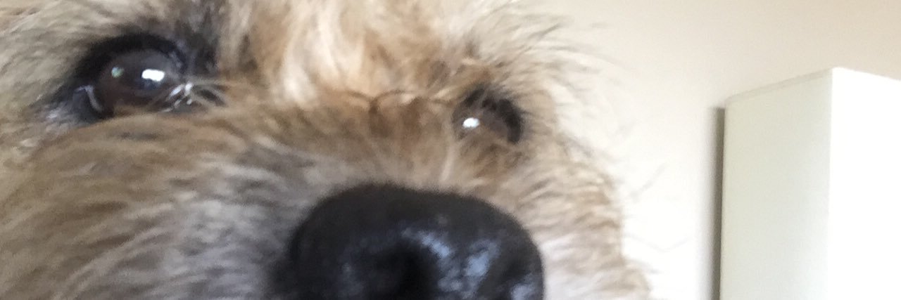 sclark2906's profile banner image