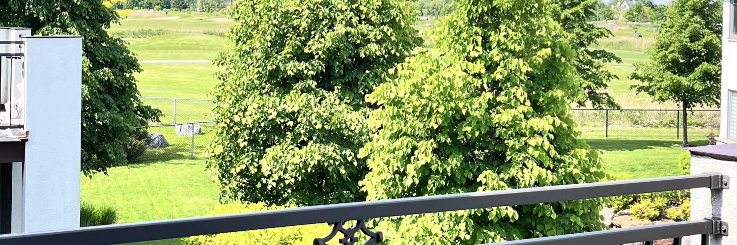 NBchard's profile banner image