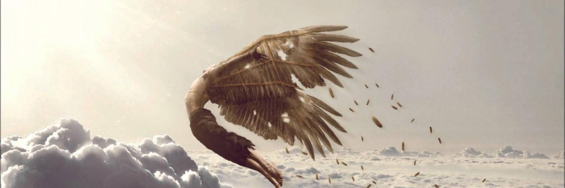 StefaniPav's profile banner image