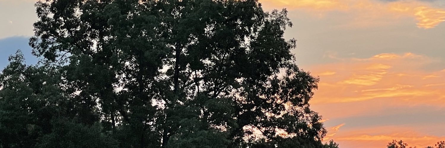 JennSturg's profile banner image