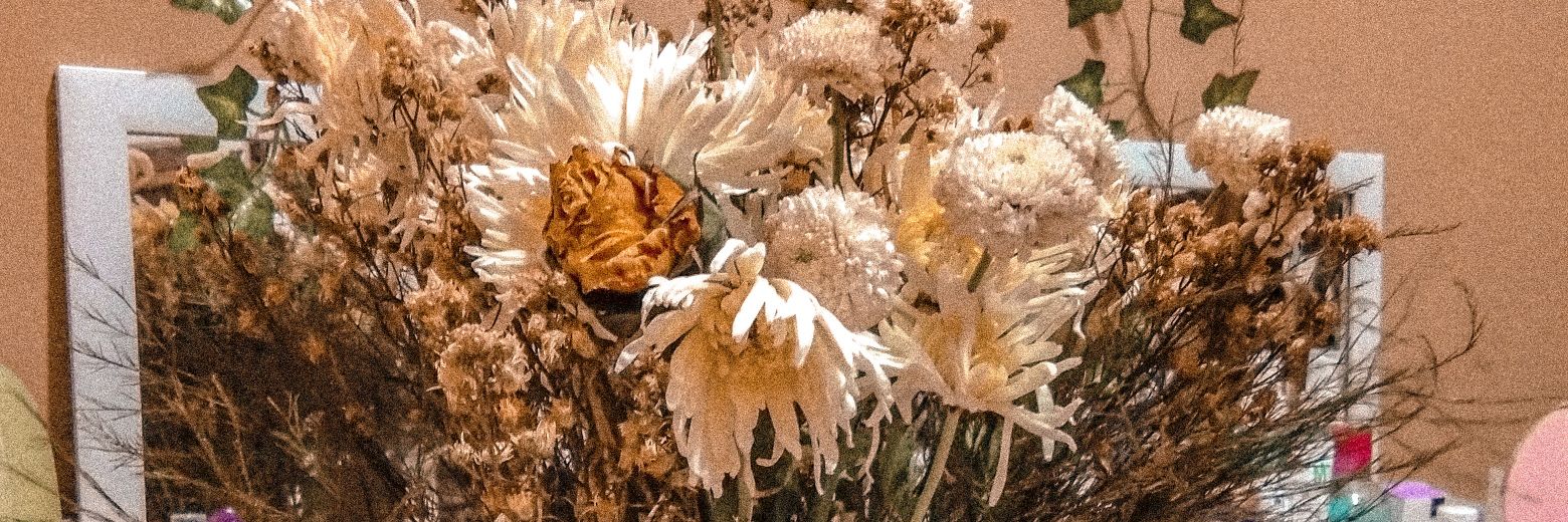 Windaswah's profile banner image