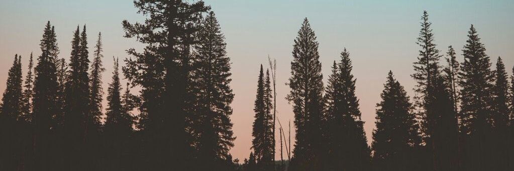 SergioBGA's profile banner image