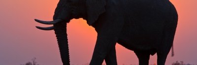 JamesinNamibia's profile banner image