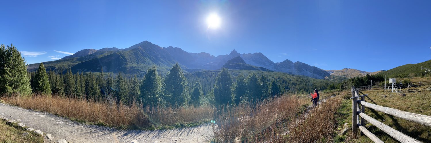 Johan Enarsson banner