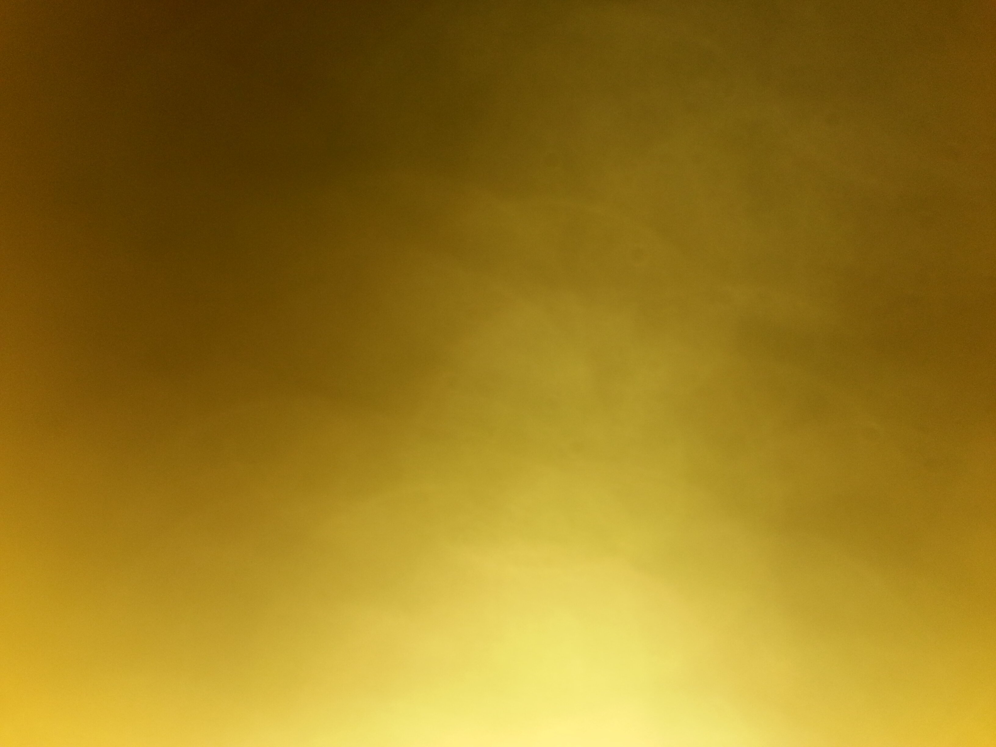 BeckiMeltzer's profile banner image
