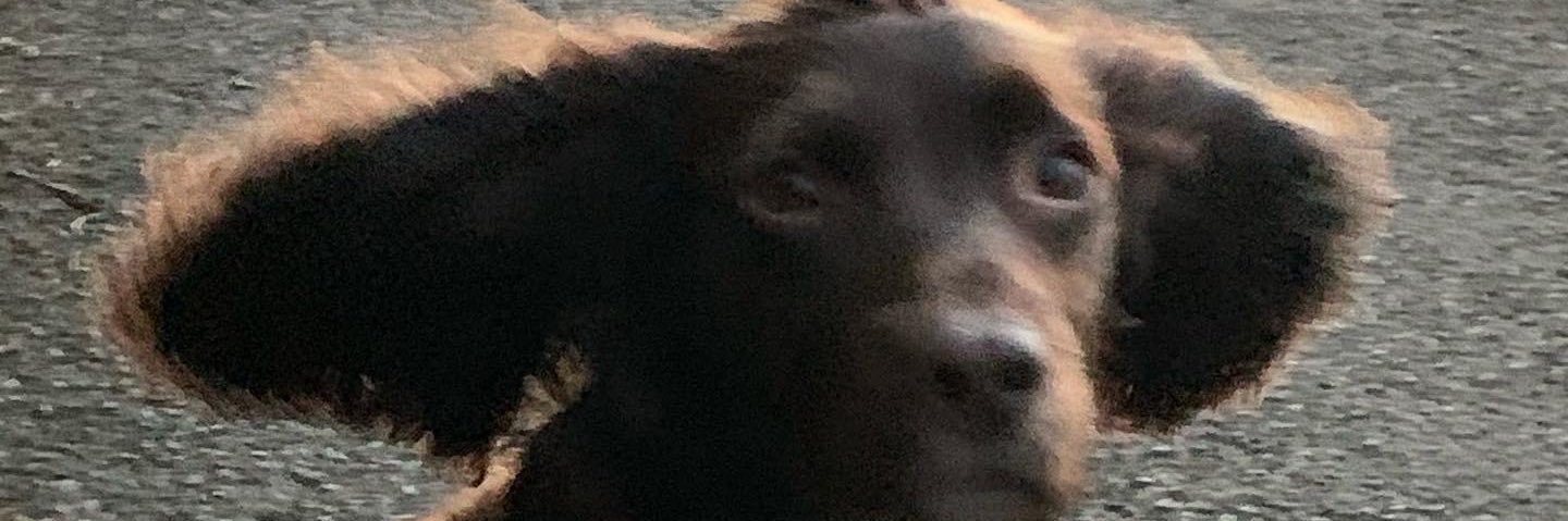 stewood10225's profile banner image