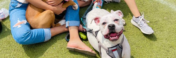 ivey_13 Profile Banner